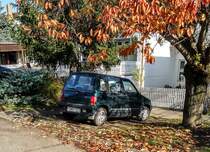 Daewoo Tico & Herbststimmung in November 2020.