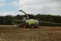 LU Norbert Mäser Claas Jaguar 970 am 28.10.21 bei der Maisernte in der Wetterau