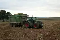 Kai Ruppel Fendt One 724 mit Fortune Abschiebewagen am 30.10.21 bei der Maisernte in der Wetterau