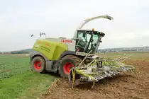 LU Norbert Mäser Claas Jaguar 970 am 30.10.21 bei der Maisernte in der Wetterau