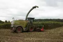 LU Norbert Mäser Claas Jaguar 950 am 31.10.21 bei der Maisernte in der Wetterau