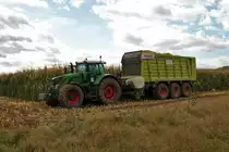 LU Norbert Mäser Fendt Vario 933 mit Claas Cargos 9500 am 31.10.21 bei der Maisernte in der Wetterau