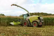 Nagelneuer LU Norbert Mäser Claas Jaguar 970 am 02.11.21 bei der Maisernte in der Wetterau