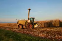 Nagelneuer LU Norbert Mäser Claas Jaguar 970 am 05.11.21 bei der Maisernte in der Wetterau