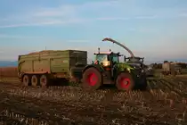 LU Norbert Mäser Fendt 930 am 05.11.21 bei der Maisernte in der Wetterau