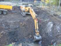 15.11.06,Liebherr in Bochum an der Jahrhunderthalle.