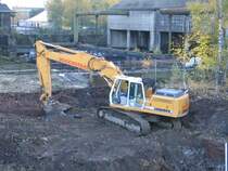 15.11.06,Liebherr in Bochum an der Jahrhunderthalle.