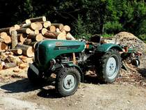 STEYR 188 aus dem Jahre 1965 versorgt einen Holzspalter mit der nötigen Energie; 210616