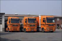 Drei MAN TGA 18.430XXL D20 CommonRail von HEINZ- J. HOLLENHORST. Der Fuhrpark besteht aus ungefr 70 Fahrzeugen der Marken MAN, Volvo, Mercedes-Benz, DAF und Iveco.