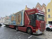 Fellinger aus den Niederlanden in der Landshuter Neustadt, Februar 2021