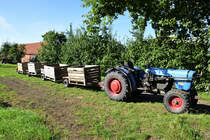 ein Eicher 648 Turbo am 18.9.2020 im Alten Land bei der Apfel Ernte