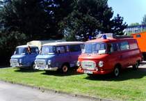 Kleine brandenburger B 1000 Parade zum 12.IFA-Oldtimertreffen 2009 in Werdau.