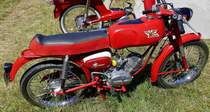 Moto Morini Corsarino, italienisches Kleinkraftrad, 1-Zyl.4-Takt-Motor mit 48ccm, Bauzeit 1963-76, 40.Int.NSU-Treffen in Freiamt/Breisgau, Juni 2022