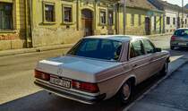 Diesen Mercedes-Benz W123 (Rückansicht) habe ich in April, 2021 gesehen.