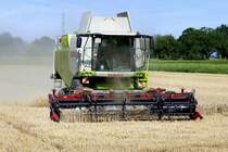 Claas Lexion 750 bei der Getreideernte in der Rheinebene im Breisgau, Juli 2022