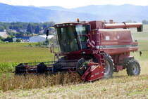 Case 2166, bei der Ernte von Sojabohnen am Marchhügel im Breisgau, Sept.2022