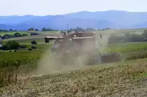 Case 2166, bei der Ernte von Sojabohnen am Marchhügel im Breisgau, nur gut das der Fahrer in einer staubdichten Kabine sitzt, Sept.2022