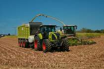 Lohnunternehmen Norbert Mäser Claas Axion 870 mit Claas Cargos 950 und Claas Jaguar 970 im August 2022 beim Mais Häckseln 