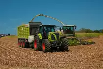 Lohnunternehmen Norbert Mäser Claas Axion 870 mit Claas Cargos 950 und Claas Jaguar 970 im August 2022 beim Mais Häckseln 