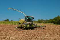 Lohnunternehmen Norbert Mäser Claas Jaguar 970 im August 2022 beim Mais Häckseln
