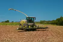 Lohnunternehmen Norbert Mäser Claas Jaguar 970 im August 2022 beim Mais Häckseln