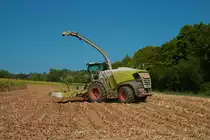 Lohnunternehmen Norbert Mäser Claas Jaguar 970 im August 2022 beim Mais Häckseln