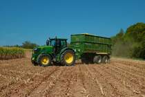 John Deere 6250R mit Fortuna Kipper im August 2022 beim Mais Häckseln 