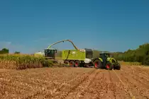 Lohnunternehmen Norbert Mäser Claas Axion 870 mit Claas Cargos 950 und Claas Jaguar 970 im August 2022 beim Mais Häckseln