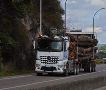 Mercedes Benz Arocs Holztransport, ist mir beim Spaziergang am See von Annecy begegnet. 09.2022 