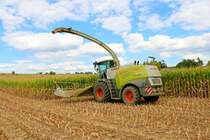 LU Norbert Mäser Claas Jaguar 970 im August 2022 bei der Maisernte