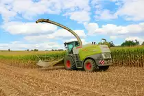 LU Norbert Mäser Claas Jaguar 970 im August 2022 bei der Maisernte