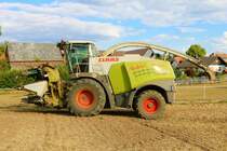 LU Norbert Mäser Claas Jaguar 970 im August 2022 bei der Maisernte