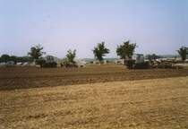 2x ZT300GB bei der Feldarbeit, Rottelsdorf 10.08.02