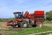 Bourgoin B410, diese aus Frankreich stammende Maschine ist ein Maispflücker, damit erntet man die ganzen Maiskolben in der Schale damit die Körner nicht beschädigt werden, das ist wichtig, denn diese werden dann nach entsprechender Weiterbehandlung als Saatgut verwendet, Okt.2022