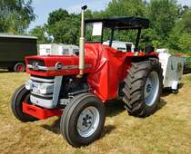 =MF 135, gesehen beim Köhlerfest in Bad Orb, 06-2022