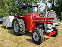 =MF 135, gesehen beim Köhlerfest in Bad Orb, 06-2022