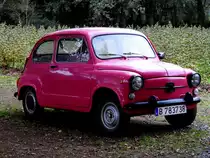 FIAT-500 bringt etwas farbliche Abwechlung entlang des Jakobsweges nächst km49,577 bzw. hier im Eukalyptuswald; 221015