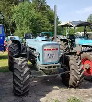 =Eicher Wotan, gesehen beim Köhlerfest in Bad Orb, 06-2022