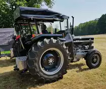 =MF 135, gesehen beim Köhlerfest in Bad Orb, 06-2022