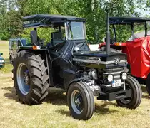 =MF 135, gesehen beim Köhlerfest in Bad Orb, 06-2022