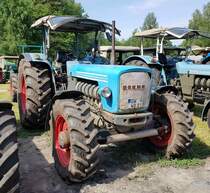 =Eicher Wotan, gesehen beim Köhlerfest in Bad Orb, 06-2022