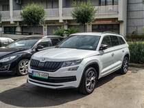 Diesen Skoda Kodiaq habe ich in Juni 2021 aufgenommen.
