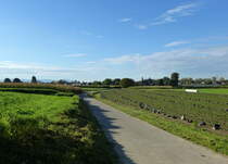 Radweg in der Rheinebene bei March-Neuershausen im Breisgau, Okt.2014