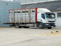 RENAULT-410 mit Aufbau für Großviehtransport, wird für die nächste Beladung bereitgestellt; 230118