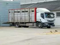 RENAULT-410 mit Aufbau für Großviehtransport, wird für die nächste Beladung bereitgestellt; 230118