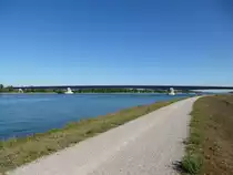 Radweg am Rhein, im Hintergrund die Pfimlin-Brücke südlich von Kehl, Sept.2016