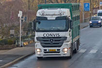 Mercedes Benz Actros, Viehtransporter fuhr mir in Wiltz vor die Linse. 02.2023