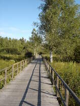 der Federseeradweg führt über diesen Holzsteg bei Bad Buchau, Sept.2004