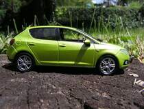 Seat Ibiza 2008- Seitenansicht