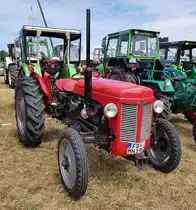 =Ferguson, gesehen bei der Oldtimerausstellung in Uttrichshausen, 07-2022